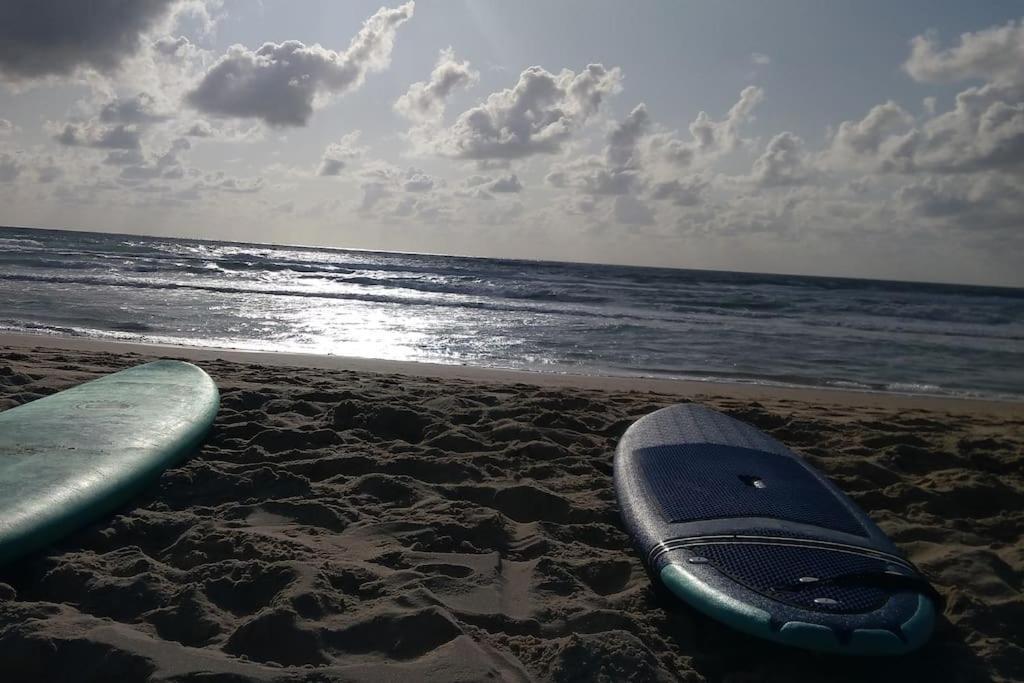 Appart' Dans Les Pins, Ocean, Lac, Piscine Lacanau Esterno foto