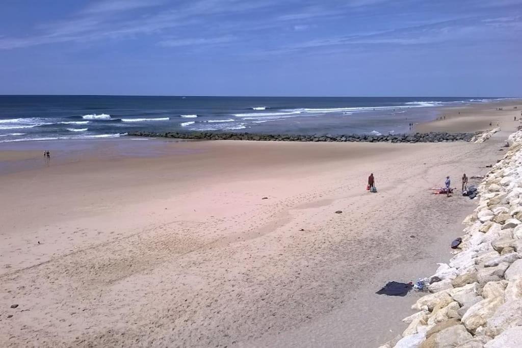 Appart' Dans Les Pins, Ocean, Lac, Piscine Lacanau Esterno foto
